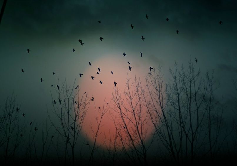 Дима Куряев фотография #26