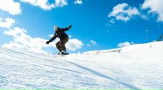 Фотография Конюшенного Павлика