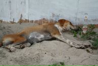 Фотография Надежницкой Ирины