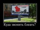 Хиро Хонда фотография #7 (источник - https://vk.com/id217559378)