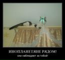 Игорь Темник фотография #29 (источник - https://vk.com/id96615668)