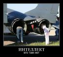 Игорь Темник фотография #21 (источник - https://vk.com/id96615668)