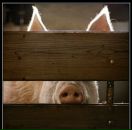 Фотография Емельянова Дмитрия