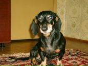 Фотография Безгалова Игоря