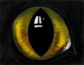 Фотография Васильева Александра