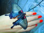 Фотография Бухонко Ирины