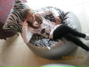 Вікуся Гречух фотография #1