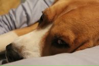 Igor Bolmanenkov фотография #30 (источник - https://vk.com/id2267085)