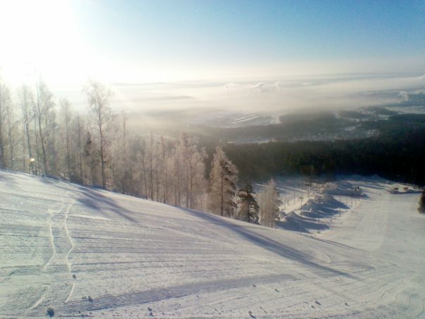 Николай Поляков фото №2