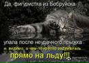 Фотография Дубровской Анны
