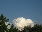 Маряна Сокіл фотография #18 (источник - https://vk.com/id8316949)