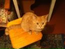 Лесик Κошелев фотография #12 (источник - https://vk.com/id164033526)