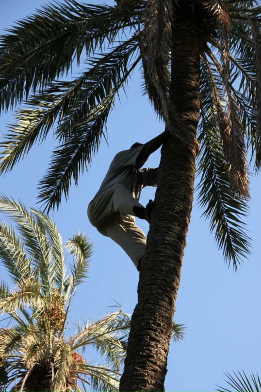 Александра Быстрова фотография #16