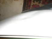 Фотография Маркова Дмитрия