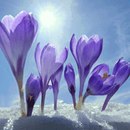 Василь Піговський фотография #6 (источник - https://vk.com/id120050576)