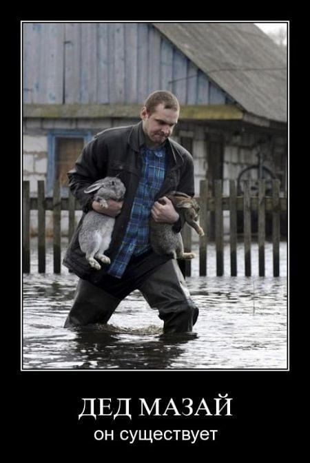 Антон Андреенко фотография #16