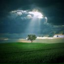 Фотография Жуковой Карины