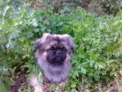 Марі Мартинюк фотография #32 (источник - https://vk.com/id55721375)