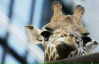 Фотография Каменских Александра