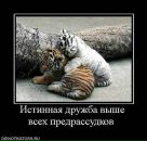 Anna Çınar фотография #18 (источник - https://vk.com/id14469793)