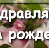 Світлана Хомич фотография #45 (источник - https://vk.com/id142214747)