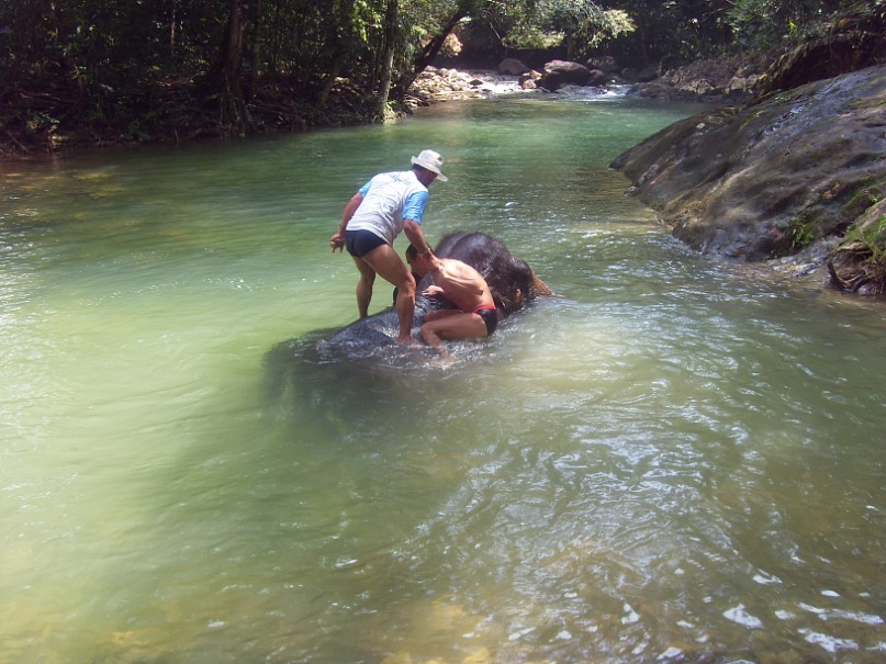 Евгений Прошин фотография #11