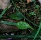 Лєна Ляшкевич фотография #48 (источник - https://vk.com/id57337092)