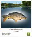 Марія Москаль фотография #44 (источник - https://vk.com/id76916889)