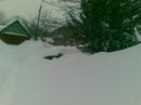 Антон Симаков фотография #39 (источник - https://vk.com/id2246306)