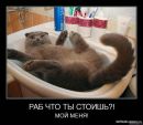 Рома Чистов фотография #1