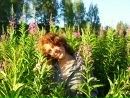 Фотография Орешко Дарьи