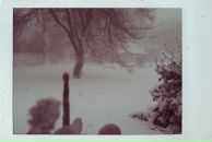 Віктор Гойсан фотография #10 (источник - https://vk.com/id13968962)