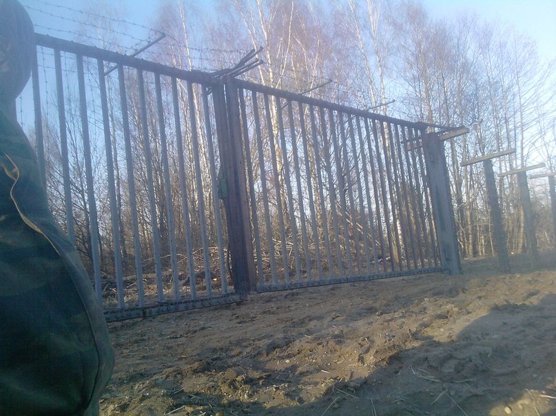 Макс Елисеев фотография #8