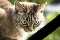 Фотография Марининой Катерины