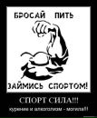 Фотография Вова Сибиряков