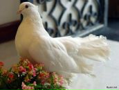 Фотография Клишиной Светланы