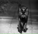 (((света))) =) фотография #1