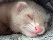 Фотография Васильевой Марии