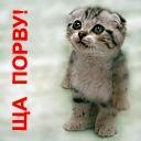 Кароліна Федорович фотография #48 (источник - https://vk.com/id148113563)