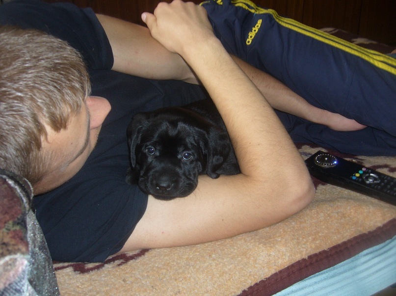 Андрей Студнев фотография #37