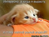 Фотография Ким Ирины