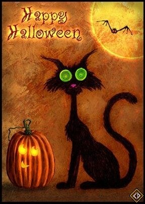 №17, Антон Головень №17, Антон Головень