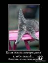 Фотография Николаевны Ольги