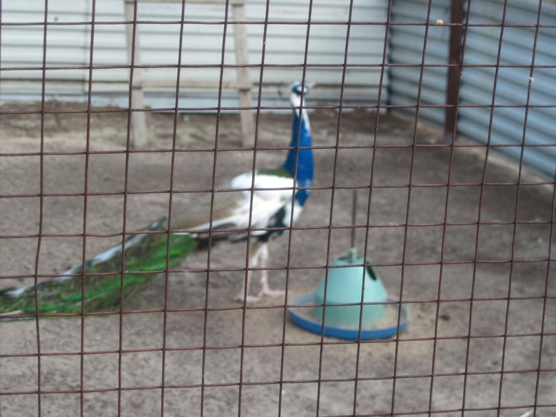 Наталья Гринёва фотография #46