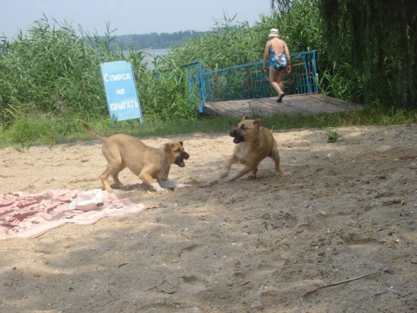 Zomb2e@ukr.net Ndgh фото №1