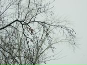 Фотография Морозовой Марии