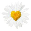 Фотография Щукиной Надежды