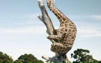 Фотография Мысляева Максима