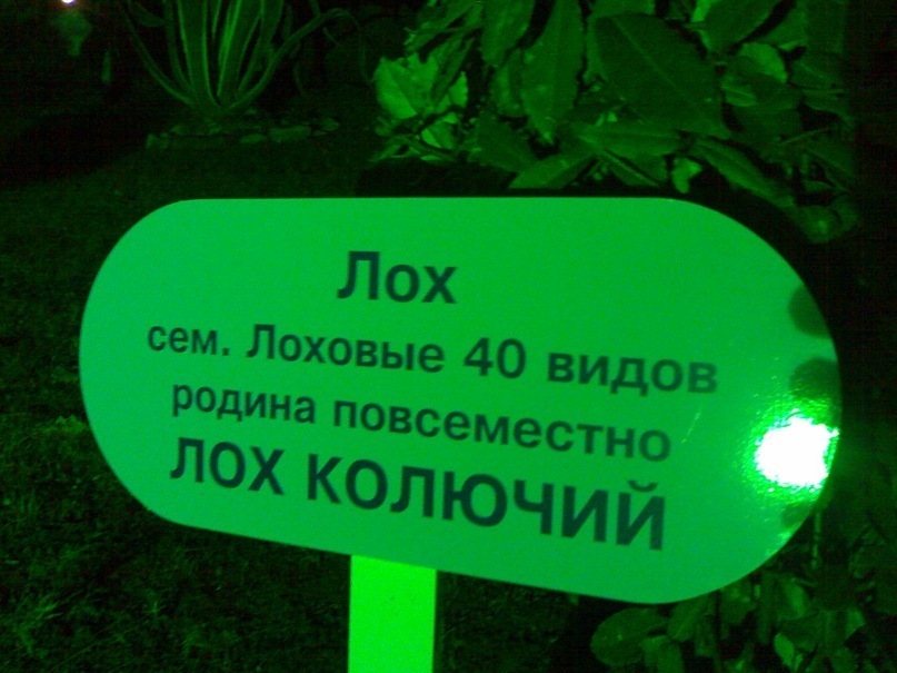 Виктор Тютин фотография #21