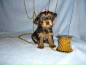 Фотография Иванова Андрея